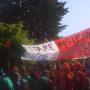 IMAG0011