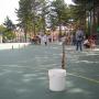 DSCN1714