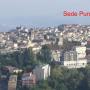Sede
